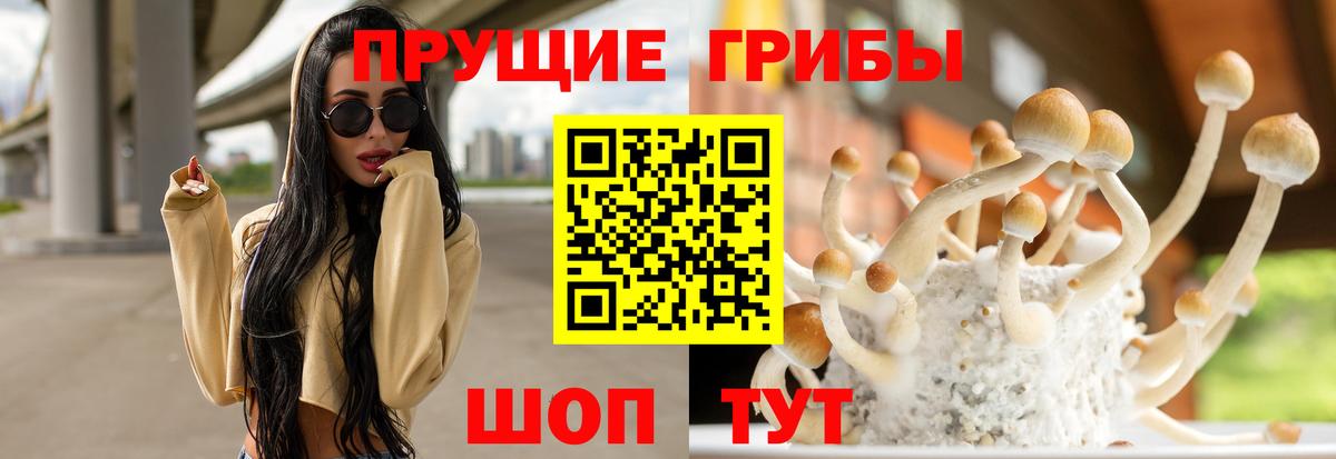 Ефремов  Галлюциногенные грибы ЛСД  Вход с VPN  Псилоцибиновые грибы GOLDEN TEACHER 